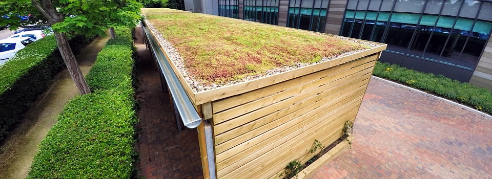 Zelená střecha