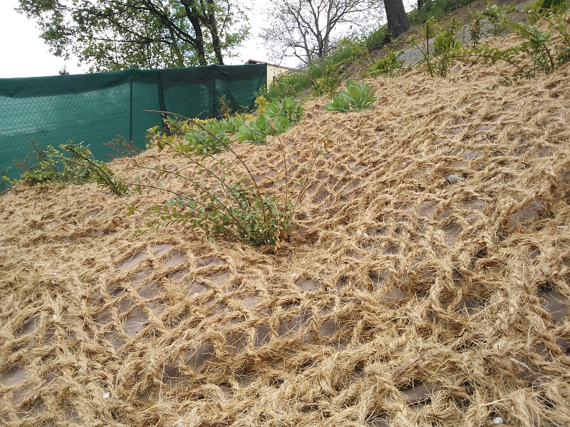 Kokosová geotextilie je vhodný materiál pro ochranu strmých svahů osazených rostlinami