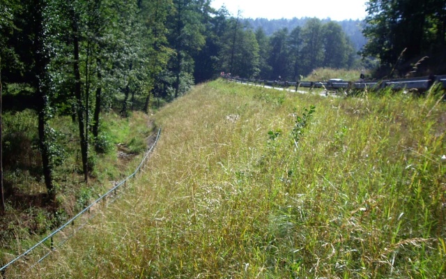 Zlatá Olešnice, Silnice I16 sanace havárie tělesa silničního náspu
