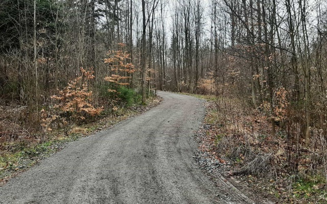 Zvýšení únosnosti lesní cesty u Rudice v Moravském krasu