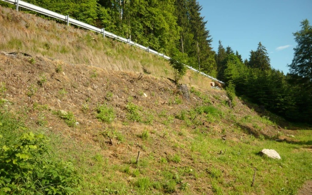Sanace sesuvu svahu silnice II/357 ve Strachujově