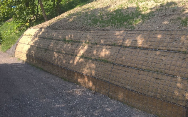 Chrlice, sanace sesuvu