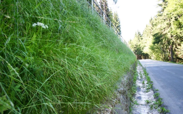 Výškové oddělení silnice a cyklostezky strmým svahem v Prášilech na Šumavě