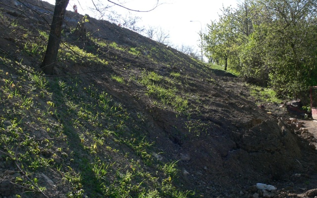 Chrlice, sanace sesuvu