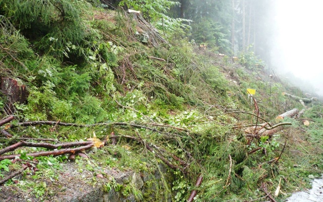 Výškové oddělení silnice a cyklostezky strmým svahem v Prášilech na Šumavě
