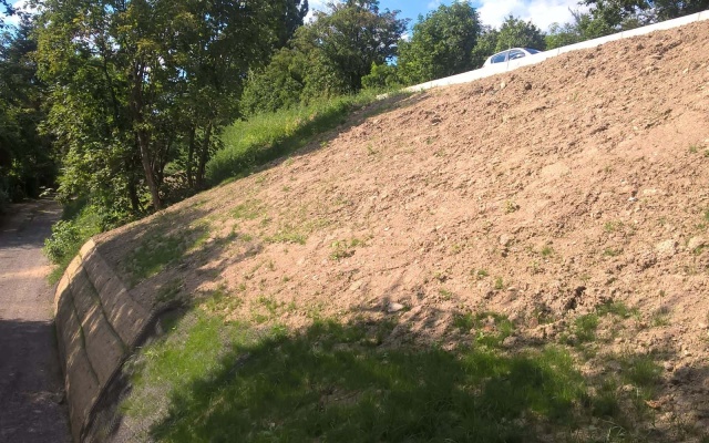 Chrlice, sanace sesuvu