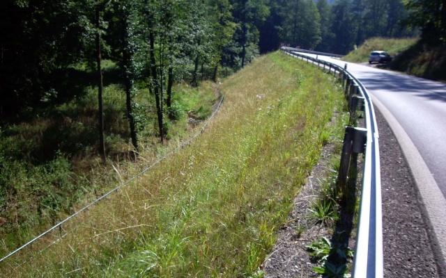 Zlatá Olešnice, Silnice I16 sanace havárie tělesa silničního náspu