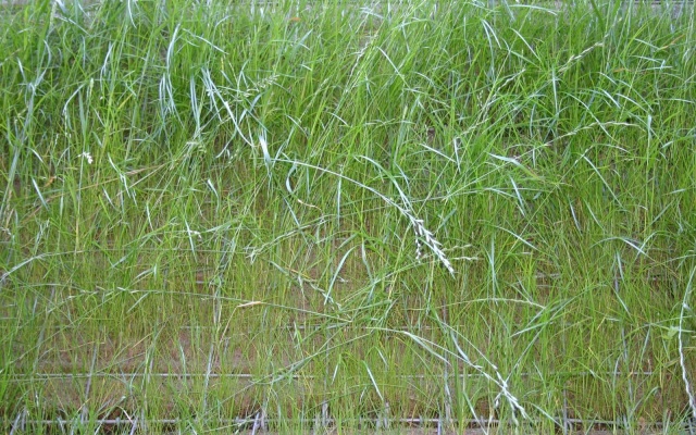 Výškové oddělení silnice a cyklostezky strmým svahem v Prášilech na Šumavě