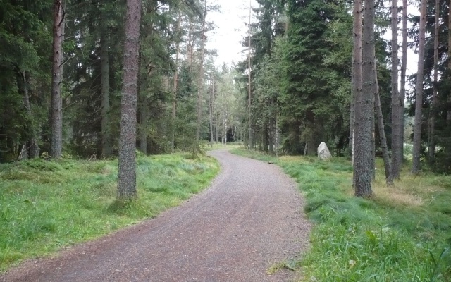 Založení cyklostezky na rašeliništi v Prášilech na Šumavě