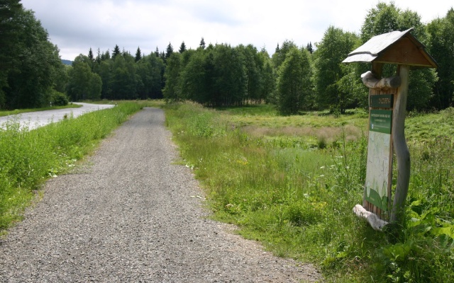 Založení cyklostezky na rašeliništi v Prášilech na Šumavě