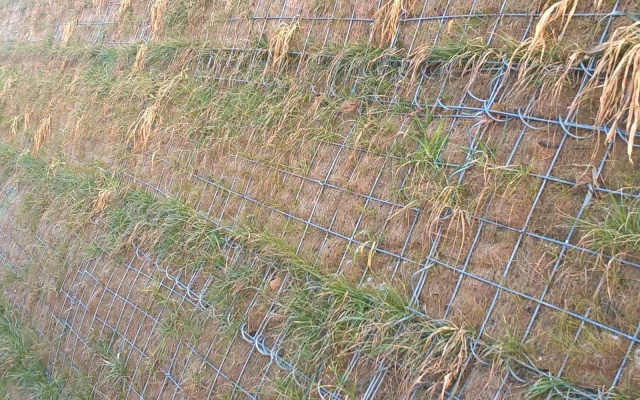 Terminál na R1 - Beladice, strmý svah z vyztužené zeminy