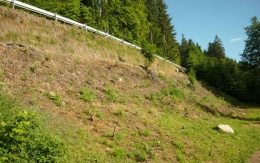 Sanace sesuvu svahu silnice II/357 ve Strachujově