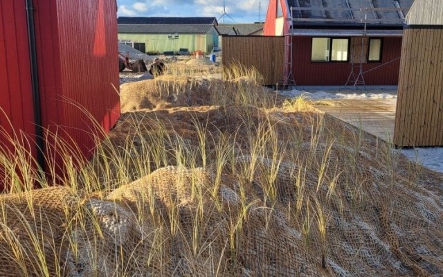 Ochrana pobřežních ploch proti větrné erozi