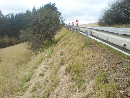Sanace sesuvu svahu na silnici I/23 ve Vladislavi