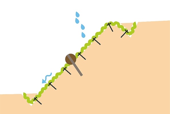 Kokosové a jutové sítě, rohože, válce, textilie v protierozní ochraně a zpevňování svahů