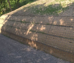 Chrlice, sanace sesuvu