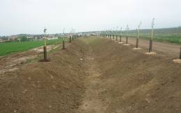 Záchytný příkop na Holém kopci v Kobylí