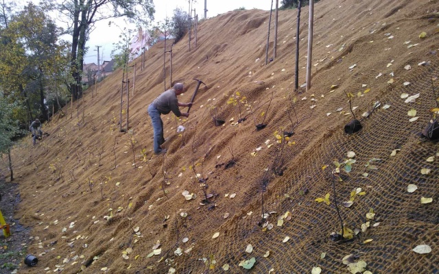 Protierozní ochrana svahu v obci Olomučany