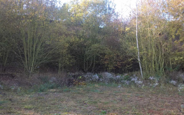 Revitalizace bývalé pískovny Praha Lysolaje