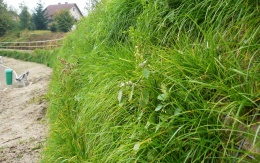 Nájezdová rampa z vyztužené zeminy ve Valtířově