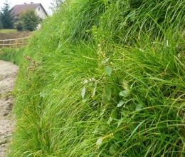 Nájezdová rampa z vyztužené zeminy ve Valtířově