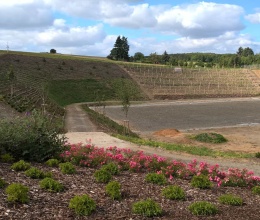 Revitalizace bývalé pískovny Praha Lysolaje