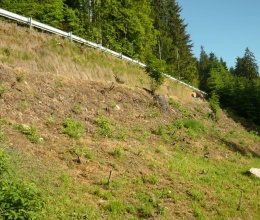 Sanace sesuvu svahu silnice II/357 ve Strachujově