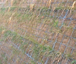 Terminál na R1 - Beladice, strmý svah z vyztužené zeminy