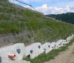 Vyztužené svahy pod dálnicí D3 v úseku Svrčinovec - Skalité