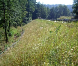 Zlatá Olešnice, Silnice I16 sanace havárie tělesa silničního náspu